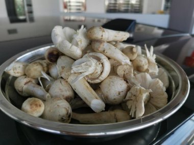 Bir tabak taze yıkanmamış termit mantarı.