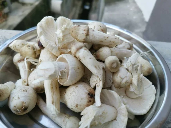 Een Bord Met Vers Gewassen Ongebakken Termietenchampignons — Stockfoto