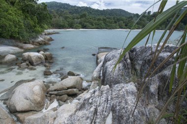 Güzel kayalık plaj manzarası