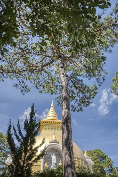 Лат Вьетнам Декабря 2019 Года Внешняя Сцена Храма Трук Лам — стоковое фото