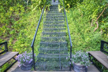 Dalat, Vietnam. 13 Aralık 2019: İç mimari tasarım manzarası ve Dalat F çiçek tarlası kafedeki güzel dış bahçe.