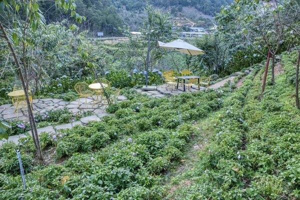 Dalat Wietnam Grudnia 2019 Widok Wnętrza Architektoniczne Także Piękny Ogród — Zdjęcie stockowe