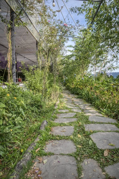 Caminho Pedra Para Jardim — Fotografia de Stock