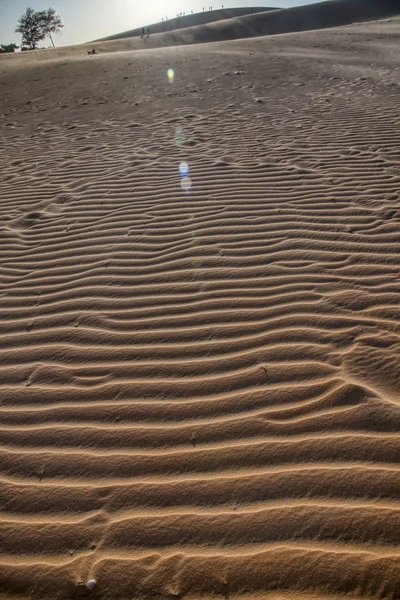 Scene Breathtaking Red Sand Dunes Field — Stock Photo, Image
