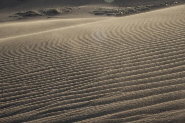 令人叹为观止的红色沙丘 — 图库照片