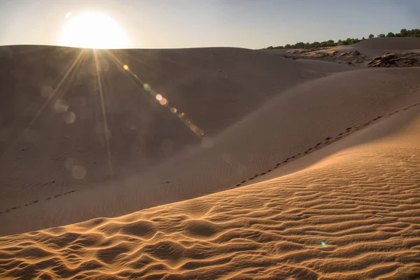 Cena Deslumbrante Campo Dunas Areia Vermelha — Fotografia de Stock