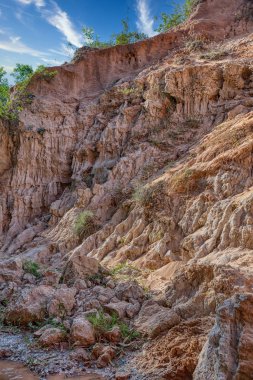Kızıl kaya uçurumları ve orman ağaçları kanyonu.