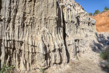 Kızıl kaya uçurumları ve orman ağaçları kanyonu.