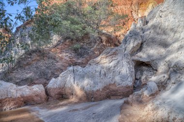Kızıl kaya uçurumları ve orman ağaçları kanyonu.