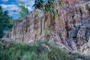 Kızıl kaya uçurumları ve orman ağaçları kanyonu.