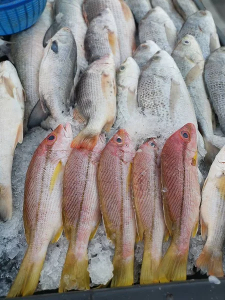 新鲜的白鱼和红鱼 — 图库照片
