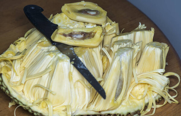 cut open a Jackfruit and extract the tasty yellowish bulbs.