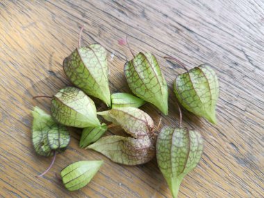 yeşil taze filsali angulat meyve veya bitki.