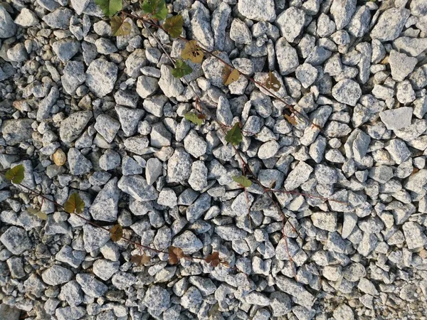 Textura Superficial Piedra Granito — Foto de Stock