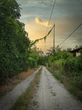 Köye giden kumlu yol.