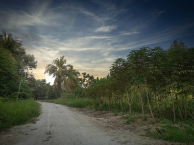 Köye giden kumlu yol.