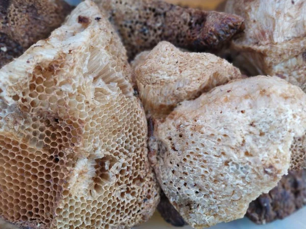 Blocks Fresh Raw Comb Honey — Stock Photo, Image