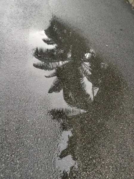 Лужа Улице После Дождя — стоковое фото