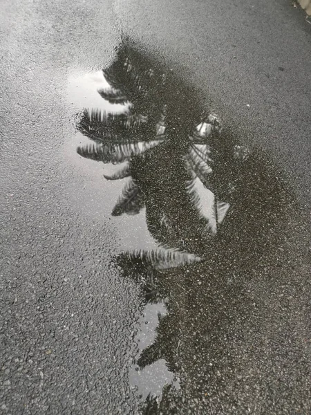 Plas Bij Straat Regen — Stockfoto