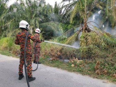 Perak,Malaysia. March 13,2020: Firemen extinguishing the fire with strong water hose at oil palm plantation along the Taman Bunga Raya Area.