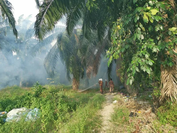 Perak Malasia Marzo 2020 Bomberos Extinguiendo Fuego Con Una Fuerte —  Fotos de Stock