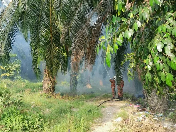 Perak Malasia Marzo 2020 Bomberos Extinguiendo Fuego Con Una Fuerte —  Fotos de Stock