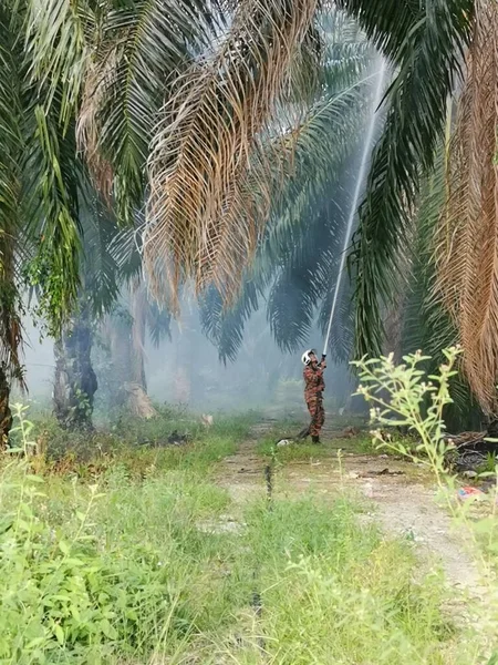 Perak Malasia Marzo 2020 Bomberos Extinguiendo Fuego Con Una Fuerte —  Fotos de Stock