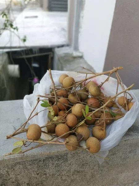 Racimos Frutos Largos Marrones Maduros — Foto de Stock