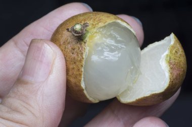 Olgun kahverengi tatlı longan meyvesi