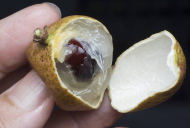 Olgun kahverengi tatlı longan meyvesi