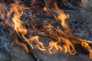 kırmızı sarı, parlayan alev 