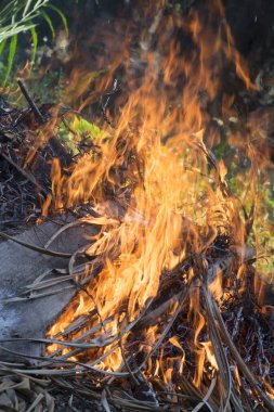 kırmızı sarı, parlayan alev 