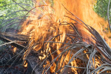 kırmızı sarı, parlayan alev 