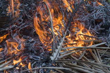 kırmızı sarı, parlayan alev 