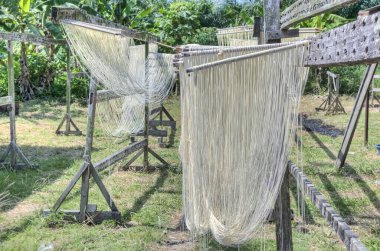 Foo chow geleneksel Çin buğdaylı erişte