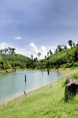Gölün çevresindeki güzel manzara