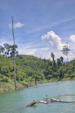 Gölün çevresindeki güzel manzara