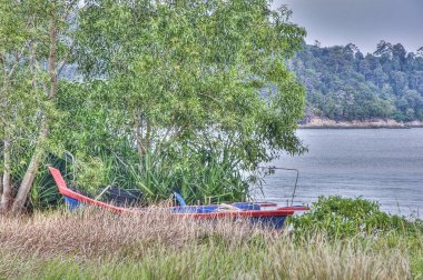 Sahilde güzel bir gündüz sahnesi