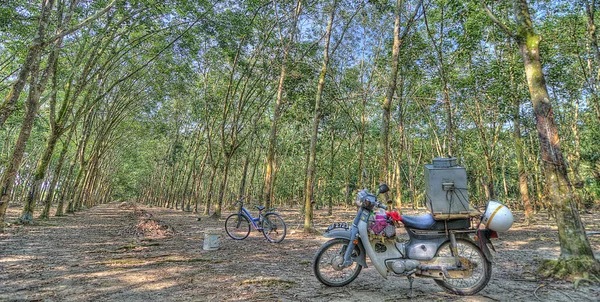 マレーシアのパーク 2020年2月29日 Koh Rubber Estateの収穫ラテックス作業現場 — ストック写真