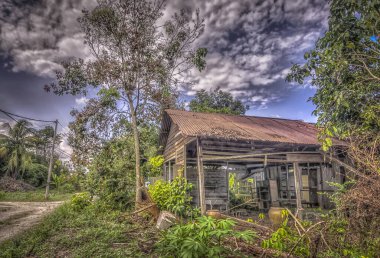 Çalılıklarda harap olmuş ahşap bir ev.