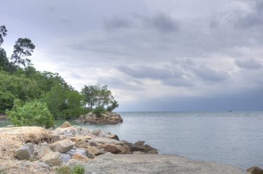 Mavi gölün etrafındaki yapraklar