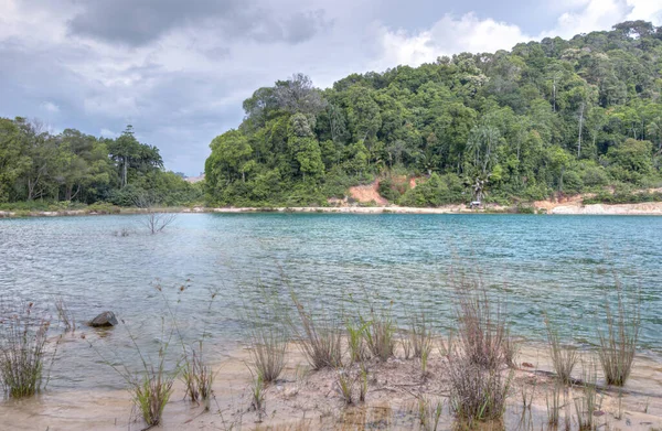 Gebladerte Rond Het Blauwe Meer — Stockfoto