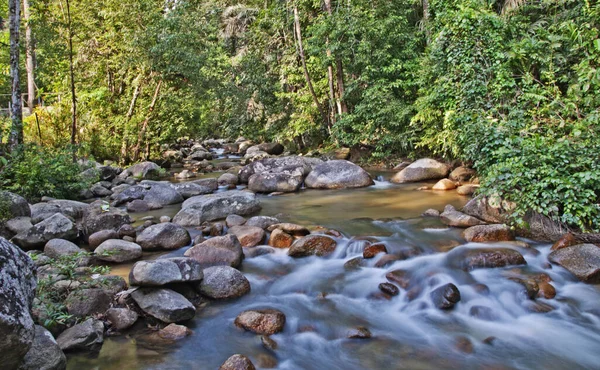 Dschungel Felsigen Bach Wasser Fließen — Stockfoto