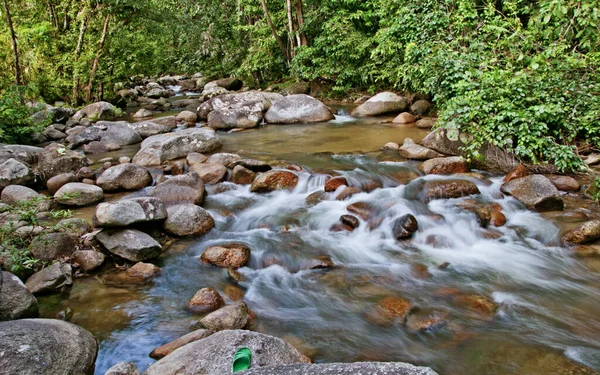 Jungla Arroyo Rocoso Flujo Agua — Foto de Stock