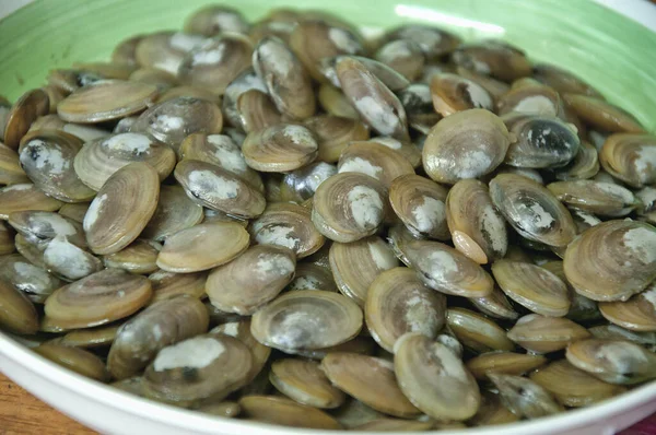 Uncooked Clam Bowl — Stock Photo, Image