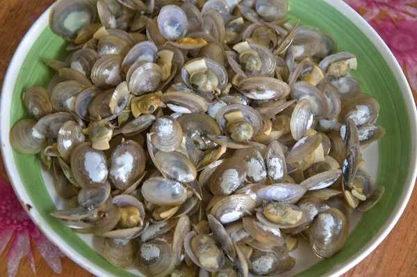 Uncooked Clam Bowl — Stock Photo, Image