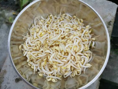 Taze soyulmuş yeşil fasulye filizleri.