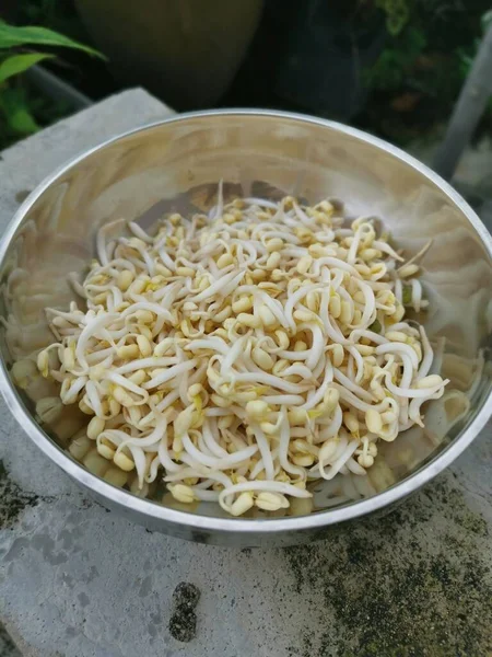 껍질을 콩나물 — 스톡 사진