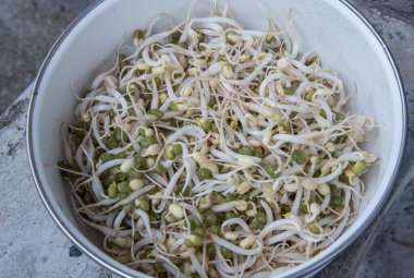 Taze taze taze fasulye filizi.