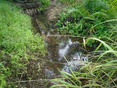 Malikanedeki basit drenaj sistemi.